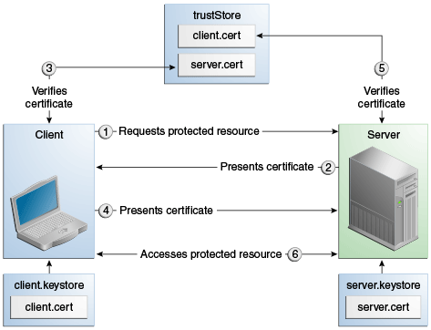 Description of Figure 50-1 follows