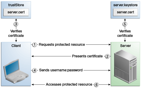 Description of Figure 50-2 follows